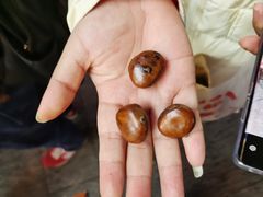-高记福桂桂花糖炒栗(鼓楼店)