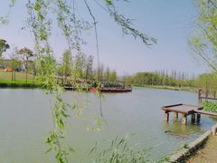 -上海长兴岛郊野公园