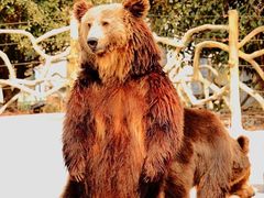 -常州淹城野生动物世界