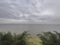 -贡湖湾湿地公园