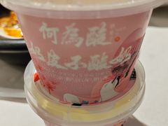 -大鸭梨烤鸭店(花园村店)