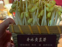 -巴奴毛肚火锅(相州店)