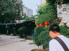 -绿雅居原生态农庄(小涌店)