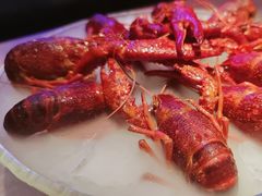 -红盔甲·小龙虾(车公庙店)