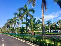 -黄金海岸环岛路