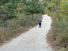-太和山风景区