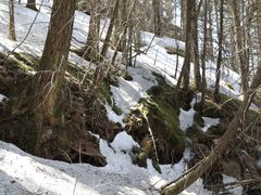 -芦芽山旅游度假区