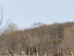 -燕窝岭
