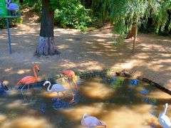 -西霞口神雕山野生动物世界