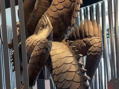 -将太无二·蓝鳍放题·北美寿司(领展购物广场中关村店)
