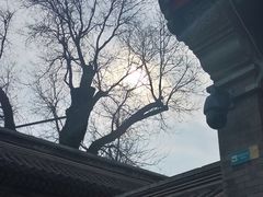 -恭王府博物馆