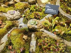 -国家植物园南园