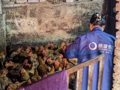 -陈有良尖椒鸡(江津总店)