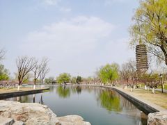-西海子公园