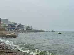 -海合安青岛极地海洋公园