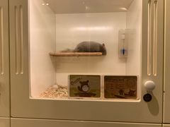 -龙猫仔乐园(惠福东路店)