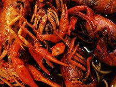 -京悦南门涮羊肉·羊蝎子火锅(田林路店)