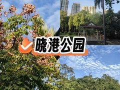 -晓港公园