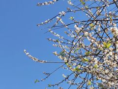 -广州市流溪河国家森林公园