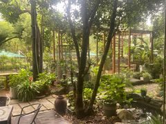 -谷咖啡·鲜花绿植花园餐厅