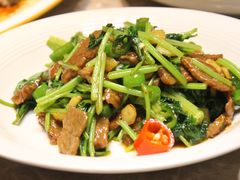 小炒黄牛肉-沙田轩(古北店)