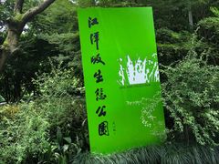 -西湖风景区-江洋畈生态公园