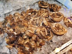 土笋冻-铭聚章鱼土笋冻(松柏店)