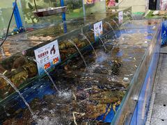 -东江海鲜酒家(艺都分店)