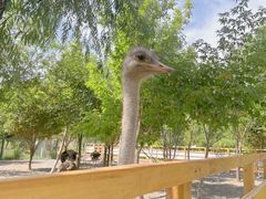 -水上乐园·欢乐世界