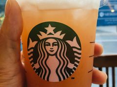 -星巴克(深圳世纪汇分店)