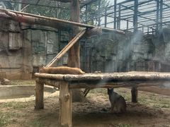 -石家庄市动物园