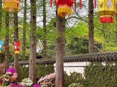 -惠山古镇·寄畅园