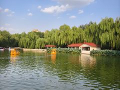 -丰台花园