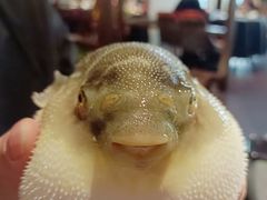 -肆月河豚·淮扬菜·湘菜(华天店)