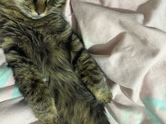 -Huange欢歌KTV(欣都龙城vcpark购物中心店)