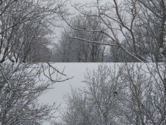 -北运河水利风景区