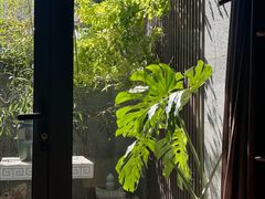 -王府茶楼茶宴·创意菜(朝阳公园店)