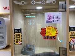 -屋虎猫馆(宝安大仟里店)