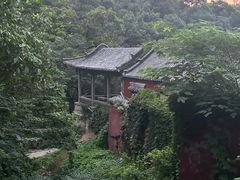 -泰山风景名胜区-普照寺