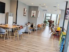 -了不起的考拉咖啡店(高新店)