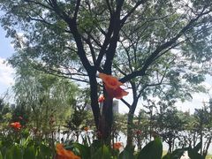 -白塘生态植物园