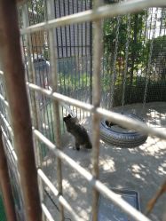 -萌宠亲子动物乐园(槐房万达店)