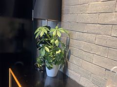 -新沸腾鱼乡(世贸天阶店)