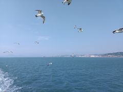 -海驴岛(荣成市)