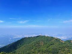 -梧桐山风景名胜区