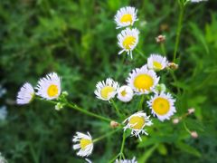 -苏体天云湖运动度假村