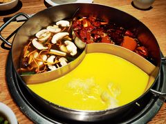 -青瓷火锅料理(西单大悦城店)