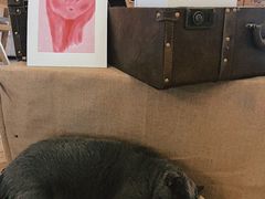 -Me Coffee下午茶艺术空间