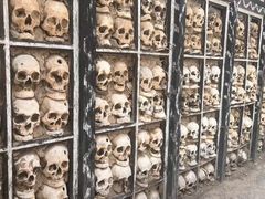 -比如骷髅墙景区