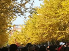 -辽宁大学(崇山校区)